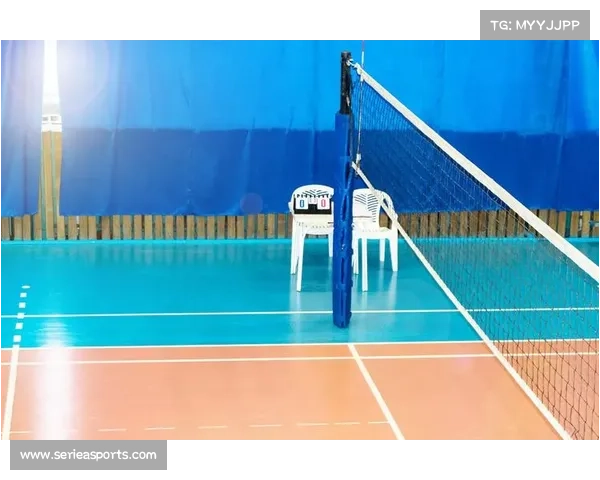 金陵体育中标校园器材大单 排球设备采购额同比增长62%