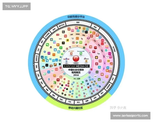 社会化参与程度提高，形成多元共建格局